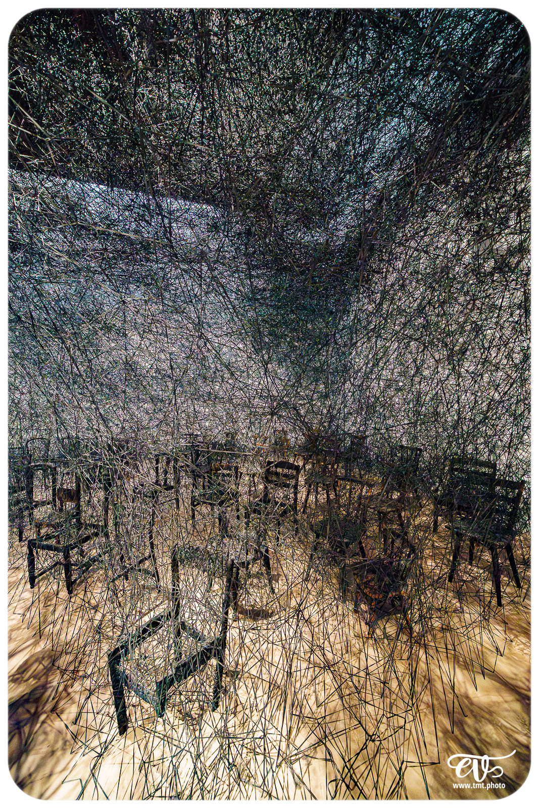 CHIHARU SHIOTA